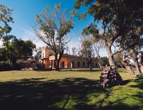 ¿Qué es un desarrollo al costo? El caso de Estancia Carabassa en Pilar