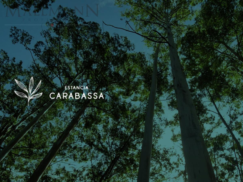 Estancia-carabassa-mallmann-propiedades