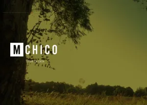 M- chico
